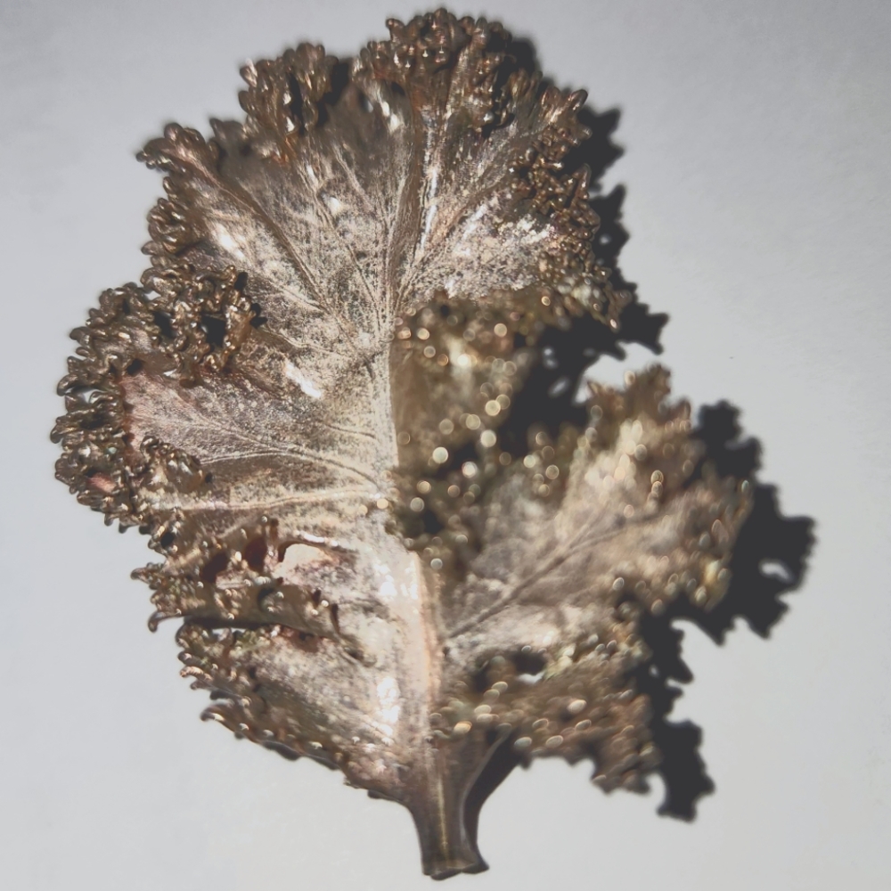 Vintage KALE Leaf Large Pin Brooch Silver Signed Orla Eggert Flora Danica